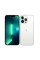 iPhone 13 Pro Silver